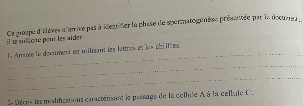 Ce groupe d'élèves n'arrive pas à identifier la phase de spermatogénèse présentée par le document et 
il te sollicite pour les aider. 
_ 
1- Annote le document en utilisant les lettres et les chiffres. 
_ 
_ 
2- Décris les modifications caractérisant le passage de la cellule A à la cellule C.