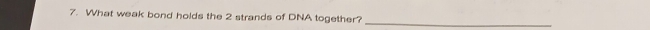 What weak bond holds the 2 strands of DNA together?_