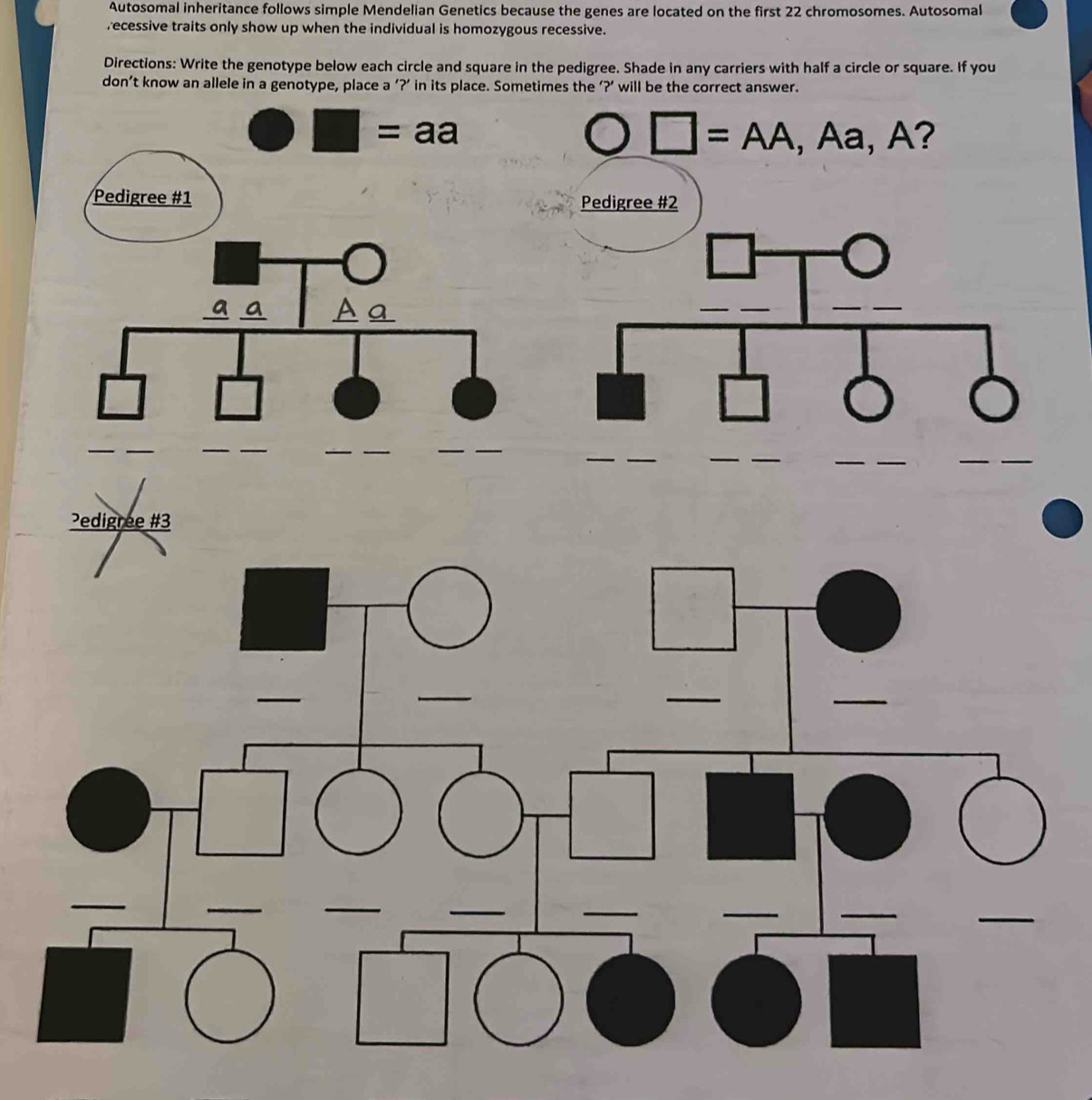 Autosomal inheritance follows simple Mendelian Genetics because the genes are located on the first 22 chromosomes. Autosomal
recessive traits only show up when the individual is homozygous recessive.
Directions: Write the genotype below each circle and square in the pedigree. Shade in any carriers with half a circle or square. If you
don’t know an allele in a genotype, place a '?’ in its place. Sometimes the '?’ will be the correct answer.
|=a a
□ =AA,Aa,A?
Pedigree #2