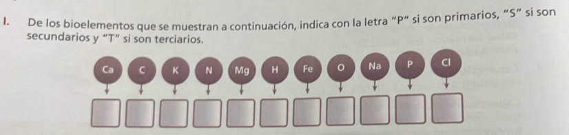 De los bioelementos que se muestran a continuación, indica con la letra “ P ” si son primarios, “S” si son 
secundarios y “T” si son terciarios. 
C K N Mg H Fe Na P Cl