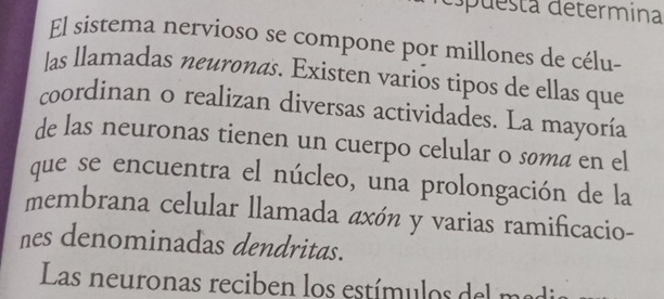 espuesta determina 
El sistema nervioso se compone por millones de célu- 
las llamadas neuronas. Existen varios tipos de ellas que 
coordinan o realizan diversas actividades. La mayoría 
de las neuronas tienen un cuerpo celular o søma en el 
que se encuentra el núcleo, una prolongación de la 
membrana celular llamada axón y varias ramificacio- 
nes denominadas dendritas. 
Las neuronas reciben los estímulos del madi