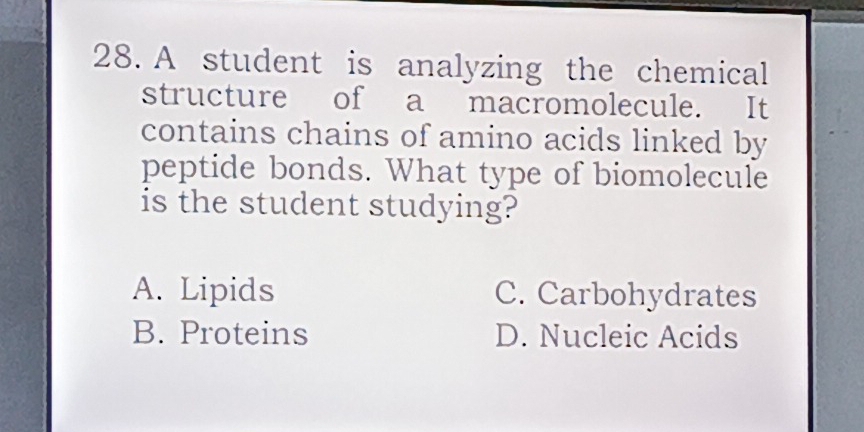 A student is analyzing the chemical
structure of a macromolecule. It
contains chains of amino acids linked by
peptide bonds. What type of biomolecule
is the student studying?
A. Lipids C. Carbohydrates
B. Proteins D. Nucleic Acids