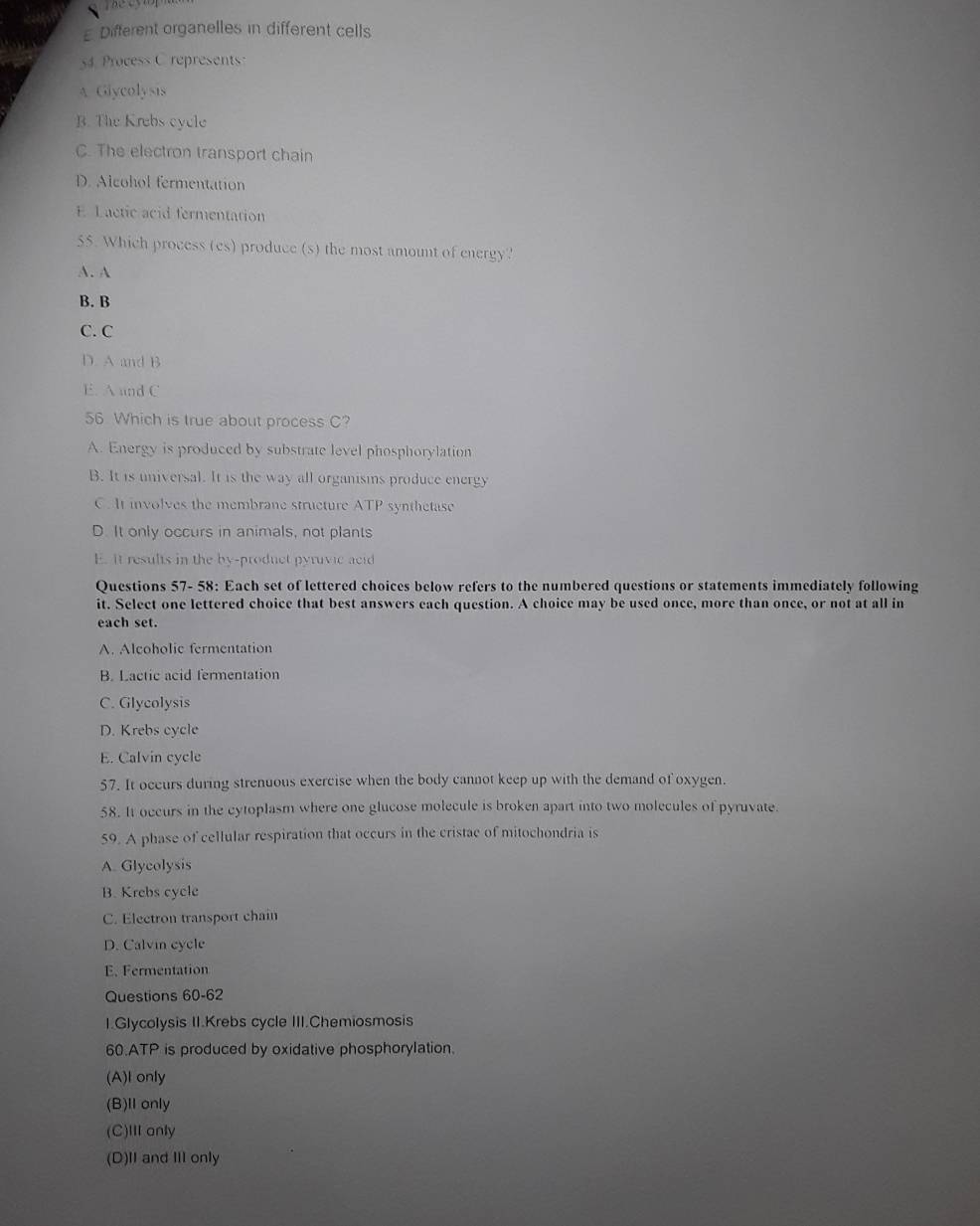 Different organelles in different cells
s4 Process C represent
A Giycolysis
B. The Krebs cycle
C. The electron transport chain
D. Alcohol fermentation
E Lactic acid fermentation
55. Which process (es) produce (s) the most amount of energy?
A. A
B. B
C. C
D. A and B
E. A und C
56 Which is true about process C?
A. Energy is produced by substrate level phosphorylation
B. It is universal. It is the way all organisms produce energy
C. It involves the membrane structure ATP synthetase
D. It only occurs in animals, not plants
E. it results in the by-product pyruvic acid
Questions 57- 58: Each set of lettered choices below refers to the numbered questions or statements immediately following
it. Select one lettered choice that best answers each question. A choice may be used once, more than once, or not at all in
each set.
A. Alcoholic fermentation
B. Lactic acid fermentation
C. Glycolysis
D. Krebs cycle
E. Calvin cycle
57. It occurs during strenuous exercise when the body cannot keep up with the demand of oxygen.
58. It occurs in the cytoplasm where one glucose molecule is broken apart into two molecules of pyruvate.
59. A phase of cellular respiration that occurs in the cristae of mitochondria is
A. Glycolysis
B. Krebs cycle
C. Electron transport chain
D. Calvin cycle
E. Fermentation
Questions 60-62
1.Glycolysis II.Krebs cycle III.Chemiosmosis
60.ATP is produced by oxidative phosphorylation.
(A)I only
(B)IIonly
(C)Ⅲ anly
(D)I and Ⅲ only