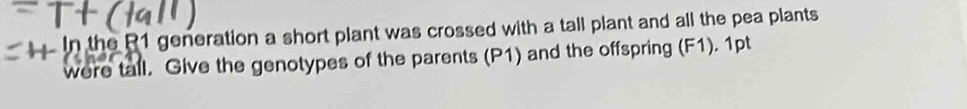 In the R1 generation a short plant was crossed with a tall plant and all the pea plants 
were tall. Give the genotypes of the parents (P1) and the offspring (F1). 1pt