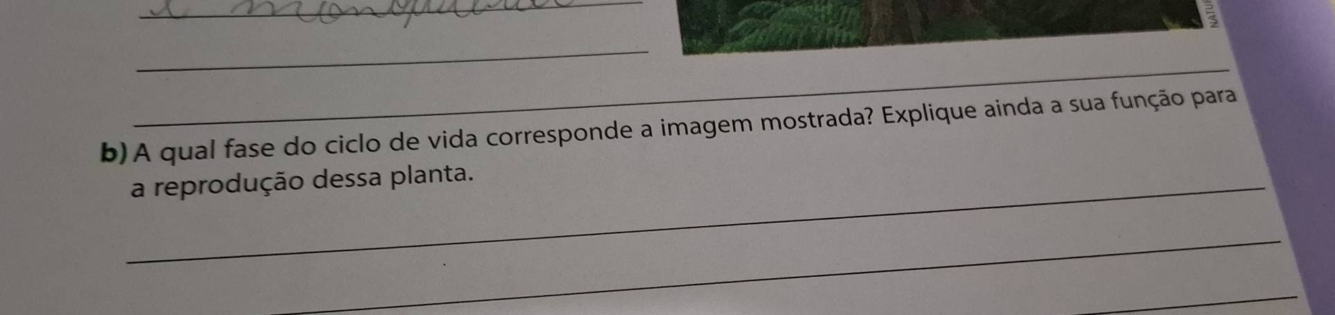 a 
_ 
_ 
b)A qual fase do ciclo de vida corresponde a imagem mostrada? Explique ainda a sua função para 
_a reprodução dessa planta. 
_ 
_