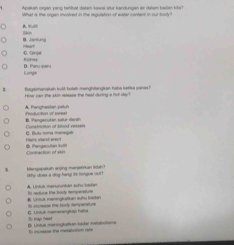 Apakah organ yang terlibat dalam kawal atur kandungan air dalam badan kita?
What is the organ involved in the regulation of water content in our body?
A. Kulit
Skin
B. Jantung
Heart
C. Ginjal
Kidney
D. Paru-paru
Lungs
2. Bagaimanakah kulit boleh menghilangkan haba ketika panas?
How can the skin release the heat during a hot day?
A. Penghasilan peluh
Production of sweat
B. Pengecutan salur darah
Constriction of blood vessels
C. Bulu roma menegak
Hairs stand erect
D. Pengecutan kulit
Contraction of skin
3. Mengapakah anjing menjelirkan lidah?
Why does a dog hang its tongue out?
A. Untuk menurunkan suhu badan
To reduce the body temperature
B. Untuk meningkatkan suhu badan
To increase the body temperature
C. Untuk memerangkap haba
To trap heat
D. Untuk meningkatkan kadar metabolisme
To increase the metabolism rate