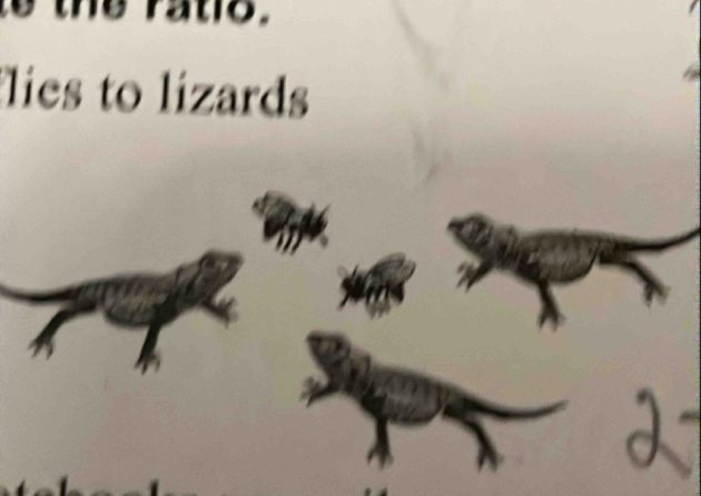 lies to lizards