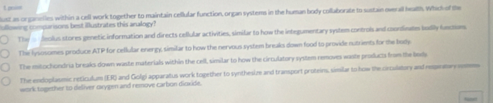 poiss
ust as organelles within a cell work together to maintain cellular function, organ systems in the human body collaborate to sustain overall health. Which of the
ullowing comparisons best illustrates this analogy?
The eolus stores genetic information and directs cellular activities, similar to how the integumentary system controis and coondinates badily functions.
The lysosomes produce ATP for cellular energy, similar to how the nervous system breaks down food to provide nutrients for the body.
The mitochondria breaks down waste materials within the cell, similar to how the circulatory system removes waste products from the body
The endoplasmic reticulum (ER) and Golgi apparatus work together to synthesize and transport proteins, similar to how the circulatory and resperaory wm
work together to deliver oxygen and remove carbon dioxide.