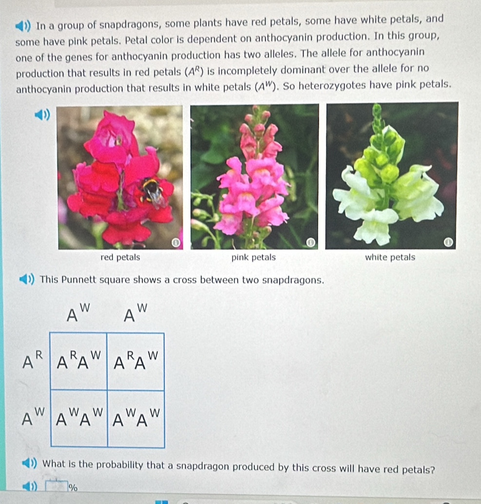 In a group of snapdragons, some plants have red petals, some have white petals, and
some have pink petals. Petal color is dependent on anthocyanin production. In this group,
one of the genes for anthocyanin production has two alleles. The allele for anthocyanin
production that results in red petals (A^R) is incompletely dominant over the allele for no
anthocyanin production that results in white petals (A^W). So heterozygotes have pink petals.
D
red petals pink petals white petals
This Punnett square shows a cross between two snapdragons.
A W A^w
A^R A^RA^W A^RA^W
A^w A^wA^w A^wA^w
) What is the probability that a snapdragon produced by this cross will have red petals?
0) □ %