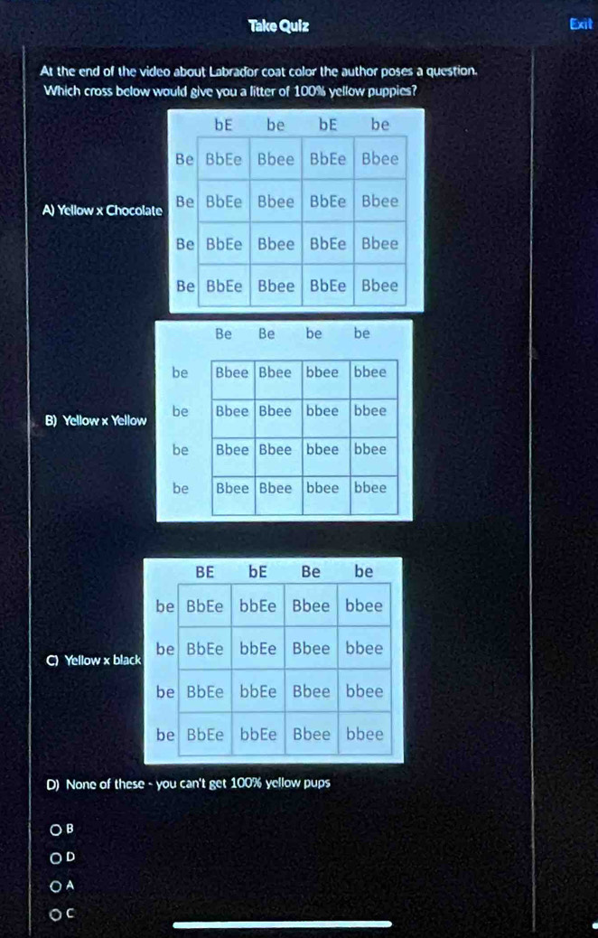 Take Quiz Exit
At the end of the video about Labrador coat color the author poses a question.
Which cross below would give you a litter of 100% yellow puppies?
A) Yellow x Chocolat
Be Be be be
B) Yellow x Yello
C) Yellow x blac
D) None of these - you can't get 100% yellow pups
B
D
A
C