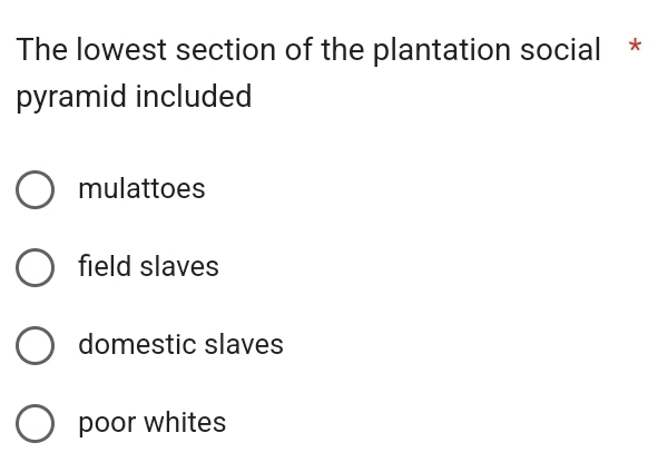 The lowest section of the plantation social *
pyramid included
mulattoes
field slaves
domestic slaves
poor whites