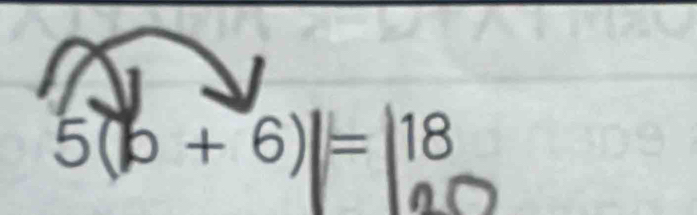 5(b+6)| =118