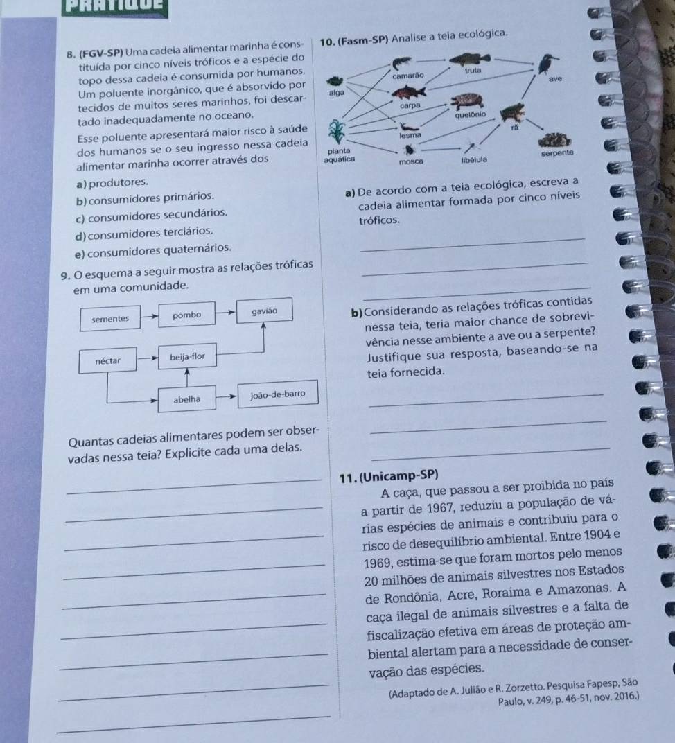 (FGV-SP) Uma cadeia alimentar marinha é consasm-SP) Analise a teia ecológica.
tituída por cinco níveis tróficos e a espécie do
topo dessa cadeia é consumida por humanos
Um poluente inorgânico, que é absorvido po
tecidos de muitos seres marinhos, foi descar
tado inadequadamente no oceano.
Esse poluente apresentará maior risco à saúd
dos humanos se o seu ingresso nessa cadei
alimentar marinha ocorrer através dos
a) produtores.
b) consumidores primários. a) De acordo com a teia ecológica, escreva a
c) consumidores secundários. cadeia alimentar formada por cinco níveis
tróficos.
d) consumidores terciários.
e) consumidores quaternários.
_
9. O esquema a seguir mostra as relações tróficas
_
em uma comunidade.
_
b)Considerando as relações tróficas contidas
nessa teia, teria maior chance de sobrevi-
vência nesse ambiente a ave ou a serpente?
Justifique sua resposta, baseando-se na
teia fornecida.
_
Quantas cadeias alimentares podem ser obser-
_
vadas nessa teia? Explicite cada uma delas._
_11. (Unicamp-SP)
A caça, que passou a ser proibida no país
_a partir de 1967, reduziu a população de vá-
rias espécies de animais e contribuiu para o
_risco de desequilíbrio ambiental. Entre 1904 e
_
1969, estima-se que foram mortos pelo menos
20 milhões de animais silvestres nos Estados
_de Rondônia, Acre, Roraima e Amazonas. A
caça ilegal de animais silvestres e a falta de
_fiscalização efetiva em áreas de proteção am-
_biental alertam para a necessidade de conser-
vação das espécies.
_(Adaptado de A. Julião e R. Zorzetto. Pesquisa Fapesp, São
_
Paulo, v. 249, p. 46-51, nov. 2016.)
