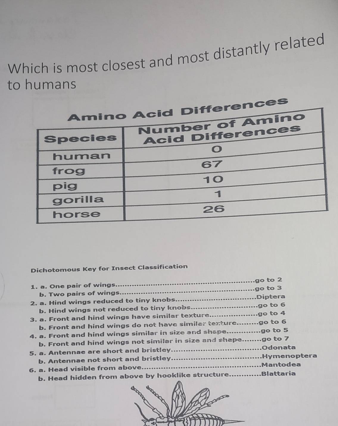 Solved: Which is most closest and most distantly related to humans es ...