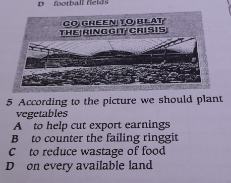 football fields
5 According to the picture we should plant
vegetables
A to help cut export earnings
B to counter the failing ringgit
C to reduce wastage of food
D on every available land