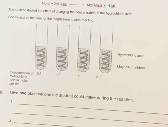 Mg(s)+2HCl(aq)to MgCl_2(aq)+H_2(g)
The student studied the effect of changing the concentration of the hydrochloric acid. 
She measured the time for the magnesium to stop reacting. 
Hydrochloric acid 
Magnesium ribbon 
Concentration of 0.5 1.0 1.5
hydrochloric 2.0
acid in moles 
per dm³
_ 
(i) Give two observations the student could make during the reaction. 
1. 
_ 
_ 
2.