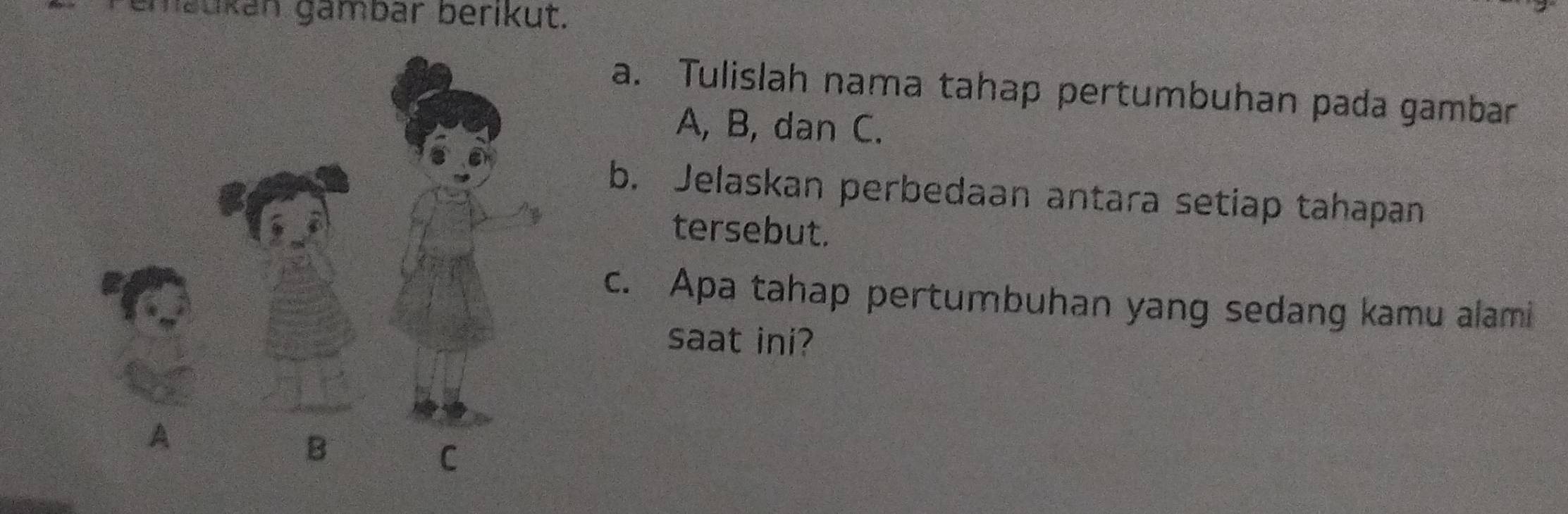 maukán gambar berikut. 
a. Tulislah nama tahap pertumbuhan pada gambar 
A, B, dan C. 
b. Jelaskan perbedaan antara setiap tahapan 
tersebut. 
c. Apa tahap pertumbuhan yang sedang kamu alami 
saat ini?