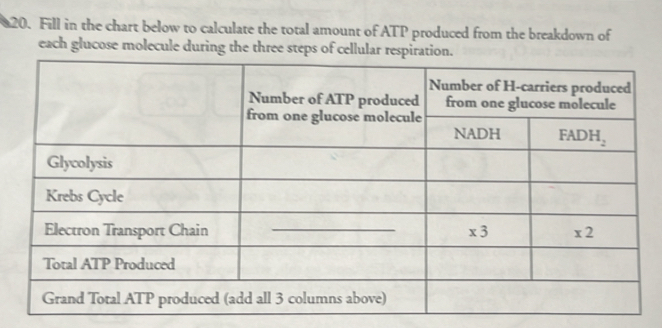 Solved: Fill in the chart below to calculate the total amount of ATP ...