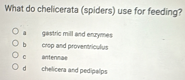 What do chelicerata (spiders) use for feeding?
a gastric mill and enzymes
b crop and proventriculus
C antennae
d chelicera and pedipalps