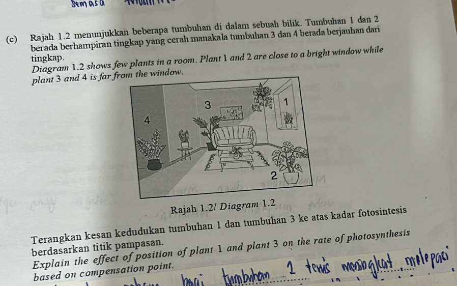 Demasa 
(c) Rajah 1.2 menunjukkan beberapa tumbuhan di dalam sebuah bilik. Tumbuhan 1 dan 2
berada berhampiran tingkap yang cerah manakala tumbuhan 3 dan 4 berada berjauhan dari 
tingkap. Diagram 1.2 shows few plants in a room. Plant 1 and 2 are close to a bright window while 
plant 3 and 4 is far from the window. 
Rajah 1.2/ Diagram 1.2 
Terangkan kesan kedudukan tumbuhan 1 dan tumbuhan 3 ke atas kadar fotosintesis 
berdasarkan titik pampasan. 
Explain the effect of position of plant 1 and plant 3 on the rate of photosynthesis 
based on compensation point.