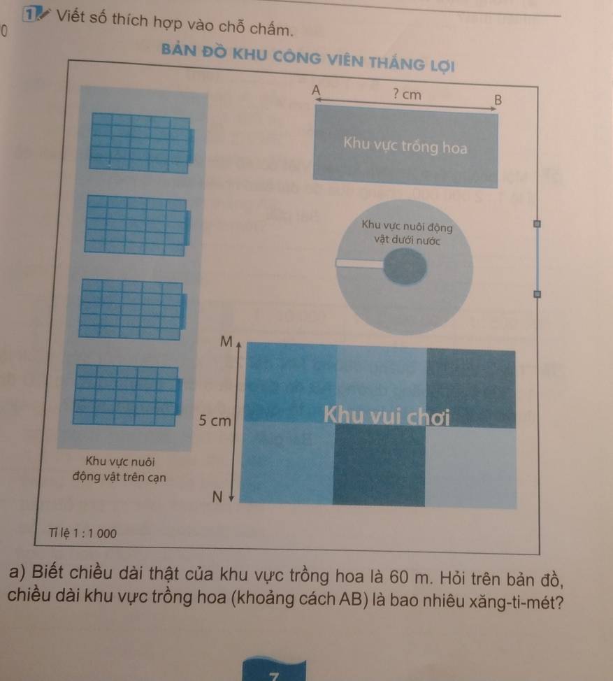 Tể Viết số thích hợp vào chỗ chấm. 
BẢN Đồ KHU CÔNG VIÊN THÁNG Lợi 
A ? cm B 
Khu vực trống hoa 
Khu vực nuôi động 
vật dưới nước
M
5 cm
Khu vui chơi 
Khu vực nuôi 
động vật trên cạn 
N 
Tỉ lệ 1:1000
a) Biết chiều dài thật của khu vực trồng hoa là 60 m. Hỏi trên bản đồ, 
chiều dài khu vực trồng hoa (khoảng cách AB) là bao nhiêu xăng-ti-mét?