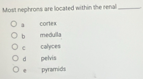 Most nephrons are located within the renal _.
a cortex
b medulla
C calyces
d pelvis
e pyramids