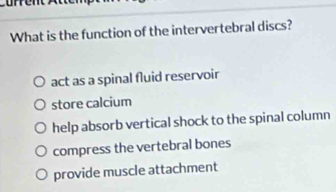 What is the function of the intervertebral discs?
act as a spinal fluid reservoir
store calcium
help absorb vertical shock to the spinal column
compress the vertebral bones
provide muscle attachment