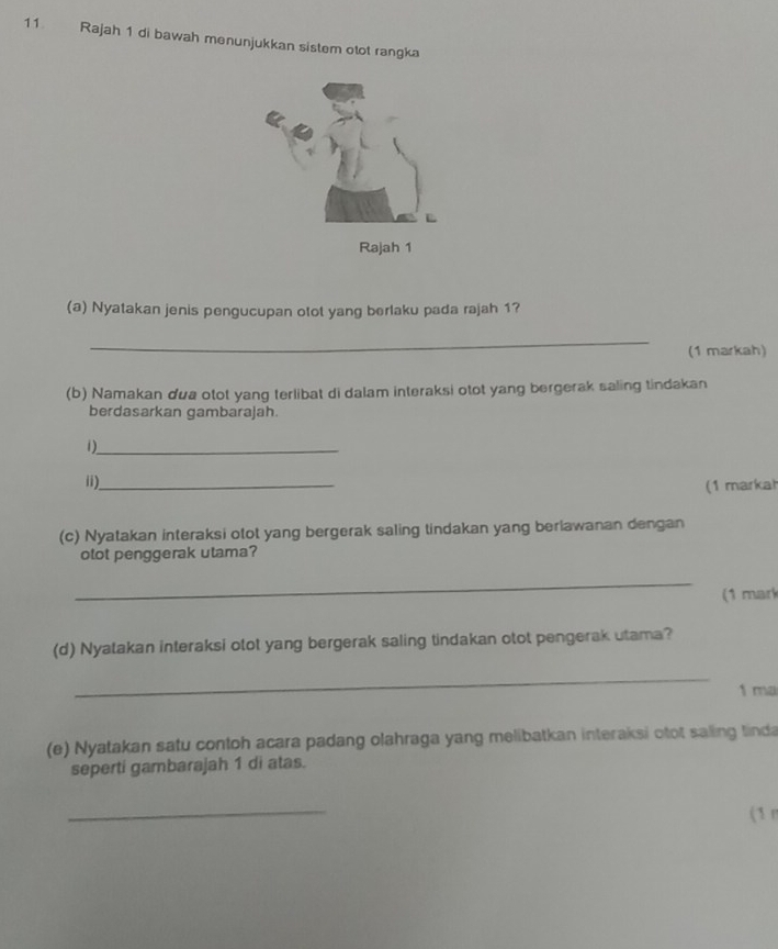 Rajah 1 di bawah menunjukkan sistem otot rangka 
(a) Nyatakan jenis pengucupan otot yang berlaku pada rajah 1? 
_ 
(1 markah) 
(b) Namakan dua otot yang terlibat di dalam interaksi otot yang bergerak saling tindakan 
berdasarkan gambarajah. 
1)_ 
ii)_ 
(1 markah 
(c) Nyatakan interaksi otot yang bergerak saling tindakan yang berlawanan dengan 
otot penggerak utama? 
_ 
(1 mark 
(d) Nyatakan interaksi otot yang bergerak saling tindakan otot pengerak utama? 
_ 
1 ma 
(e) Nyatakan satu contoh acara padang olahraga yang melibatkan interaksi otot saling tinda 
seperti gambarajah 1 di atas. 
_ 
( 1 n