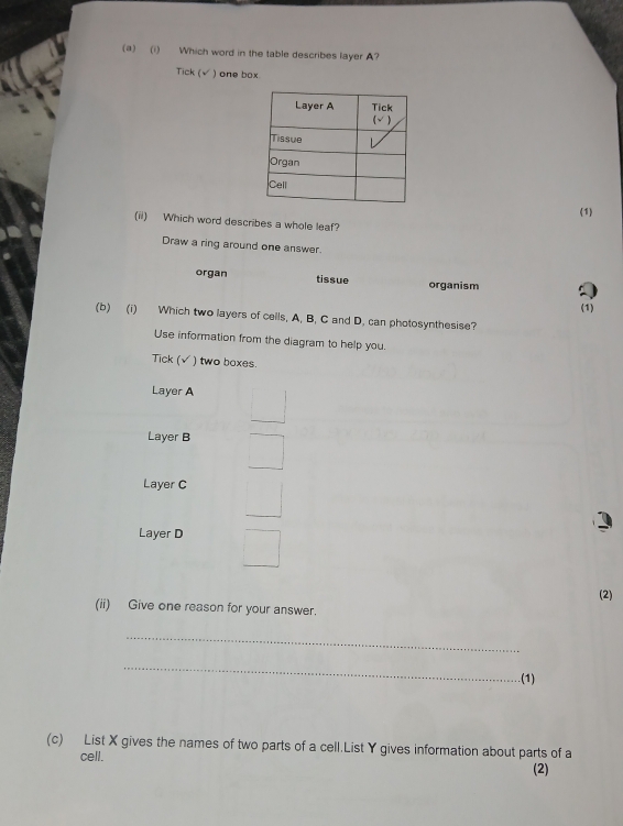 Which word in the table describes layer A?
Tick (√ ) one box
(1)
(ii) Which word describes a whole leaf?
Draw a ring around one answer.
organ tissue organism
(1)
(b) (i) Which two layers of cells, A. B. C and D. can photosynthesise?
Use information from the diagram to help you.
Tick (√ ) two boxes.
Layer A
Layer B
Layer C
Layer D
(2)
(ii) Give one reason for your answer.
_
_
(1)
(c) List X gives the names of two parts of a cell.List Y gives information about parts of a
cell.
(2)