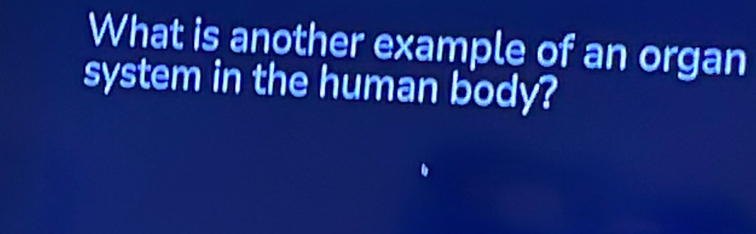 What is another example of an organ 
system in the human body?