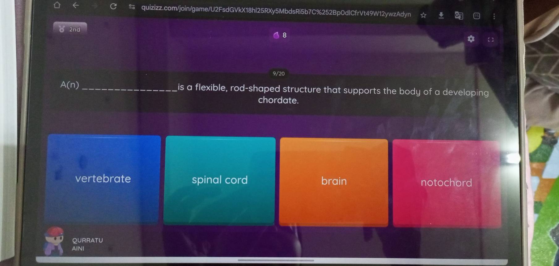 2nd
8
9/20
A(n) _ is a flexible, rod-shaped structure that supports the body of a developing
chordate.
vertebrate spinal cord brain notochord
QURRATU
AINI