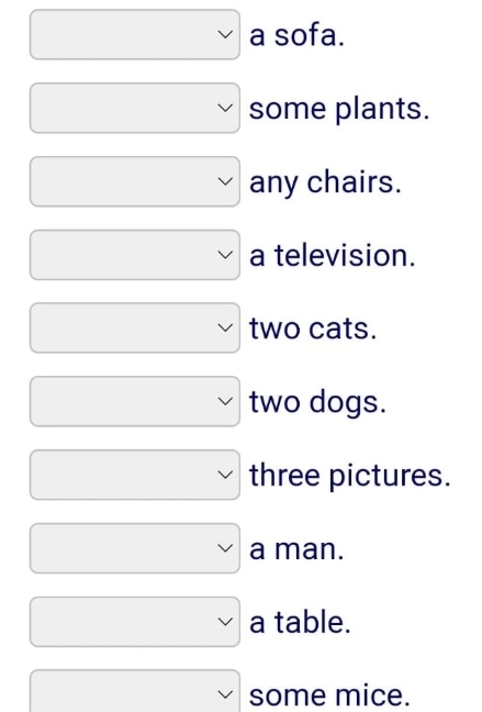 square a sofa. 
□ some plants. 
□ any chairs. 
□ a television. 
□ two cats. 
□ two dogs. 
□ three pictures. 
□ a man. 
□ a table. 
some mice.