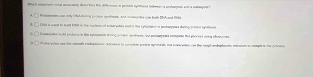 Which statement most accuratelly describes the difference in protein synthesis between a prokaryote and a eukaryote?
A Prokaryotes use only RNA during protein symthesis, and eukaryotes use both DNA and RNA.
B DNA is used to build RNA in the nucleus of eukaryotes and in the cytoplasm in prokaryotes during protein synthesis.
c Eukaryotes build proteins in the cytoplasm during protein synthesis, but prokaryotes complete this process using ribosomes.
Prokaryotes use the smooth endoplasmic reticulum to complete protein synthesis, but eukaryotes use the rough endoplasmic reticulum to complete the process.