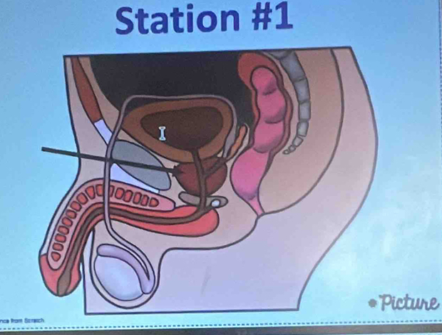 Station #1 
cture