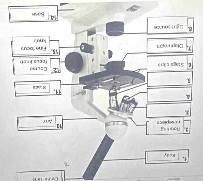 Paragraph Ocular lens