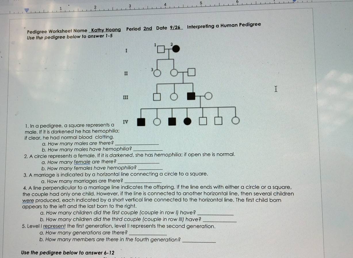 1 
2 
3
4
5
6 
Pedigree Worksheet Name _Kathy Hoang Period 2nd Date 9/26_ Interpreting a Human Pedigree 
Use the pedigree below to answer 1-5 
1. In a pedigree, a square represents a 
male. If it is darkened he has hemophili 
if clear, he had normal blood clotting. 
a. How many males are there?_ 
b. How many males have hemophilia?_ 
2. A circle represents a female. If it is darkened, she has hemophilia; if open she is normal. 
a. How many female are there?_ 
b. How many females have hemophilia?_ 
3. A marriage is indicated by a horizontal line connecting a circle to a square. 
a. How many marriages are there?_ 
4. A line perpendicular to a marriage line indicates the offspring. If the line ends with either a circle or a square, 
the couple had only one child. However, if the line is connected to another horizontal line, then several children 
were produced, each indicated by a short vertical line connected to the horizontal line. The first child born 
appears to the left and the last born to the right. 
a. How many children did the first couple (couple in row I) have?_ 
b. How many children did the third couple (couple in row III) have?_ 
5. Level I represent the first generation, level II represents the second generation. 
a. How many generations are there?_ 
b. How many members are there in the fourth generation?_ 
Use the pedigree below to answer 6-12