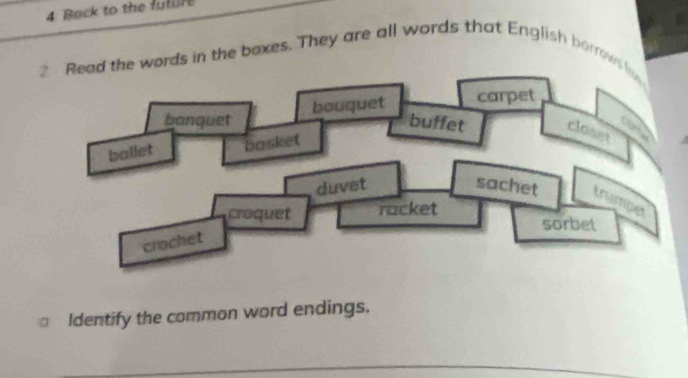 Back to the future 
the words in the boxes. They are all words that English borrows 
Identify the common word endings. 
_