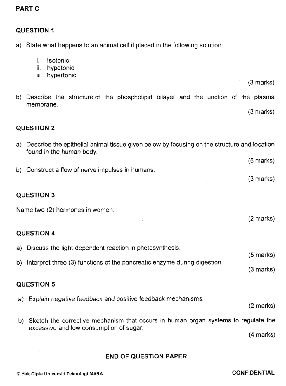 State what happens to an animal cell if placed in the following solution: 
i. Isotonic 
ii. hypotonic 
iii. hypertonic 
(3 marks) 
b) Describe the structure of the phospholipid bilayer and the unction of the plasma 
membrane. 
(3 marks) 
QUESTION 2 
a) Describe the epithelial animal tissue given below by focusing on the structure and location 
found in the human body. 
(5 marks) 
b) Construct a flow of nerve impulses in humans. 
(3 marks) 
QUESTION 3 
Name two (2) hormones in women. 
(2 marks) 
QUESTION 4 
a) Discuss the light-dependent reaction in photosynthesis. 
(5 marks) 
b) Interpret three (3) functions of the pancreatic enzyme during digestion. 
(3 marks) 
QUESTION 5 
a) Explain negative feedback and positive feedback mechanisms. 
(2 marks) 
b) Sketch the corrective mechanism that occurs in human organ systems to regulate the 
excessive and low consumption of sugar. 
(4 marks) 
END OF QUESTION PAPER 
© Hak Cipta Universiti Teknologi MARA CONFIDENTIAL