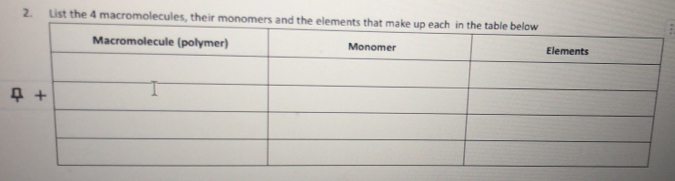 List the 4 macromolecules, their monomers an