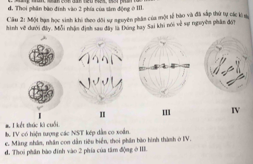 c. M ang nhân, n hân co n dan tiể u biển, thô i phân b a
d. Thoi phân bào đính vào 2 phía của tâm động ở III.
Câu 2: Một bạn học sinh khi theo dõi sự nguyên phân của một tế bào và đã sắp thứ tự các kì như
hình vẽ dưới đây. Mỗi nhận định sau đây là Đúng hay Sai khi nói về sự nguyên phân đó
II
III
IV
a. I kết thúc kì cuối.
b. IV có hiện tượng các NST kép dần co xoắn.
c. Màng nhân, nhân con dần tiêu biển, thoi phân bào hình thành ở IV.
d. Thoi phân bào đính vào 2 phía của tâm động ở III.