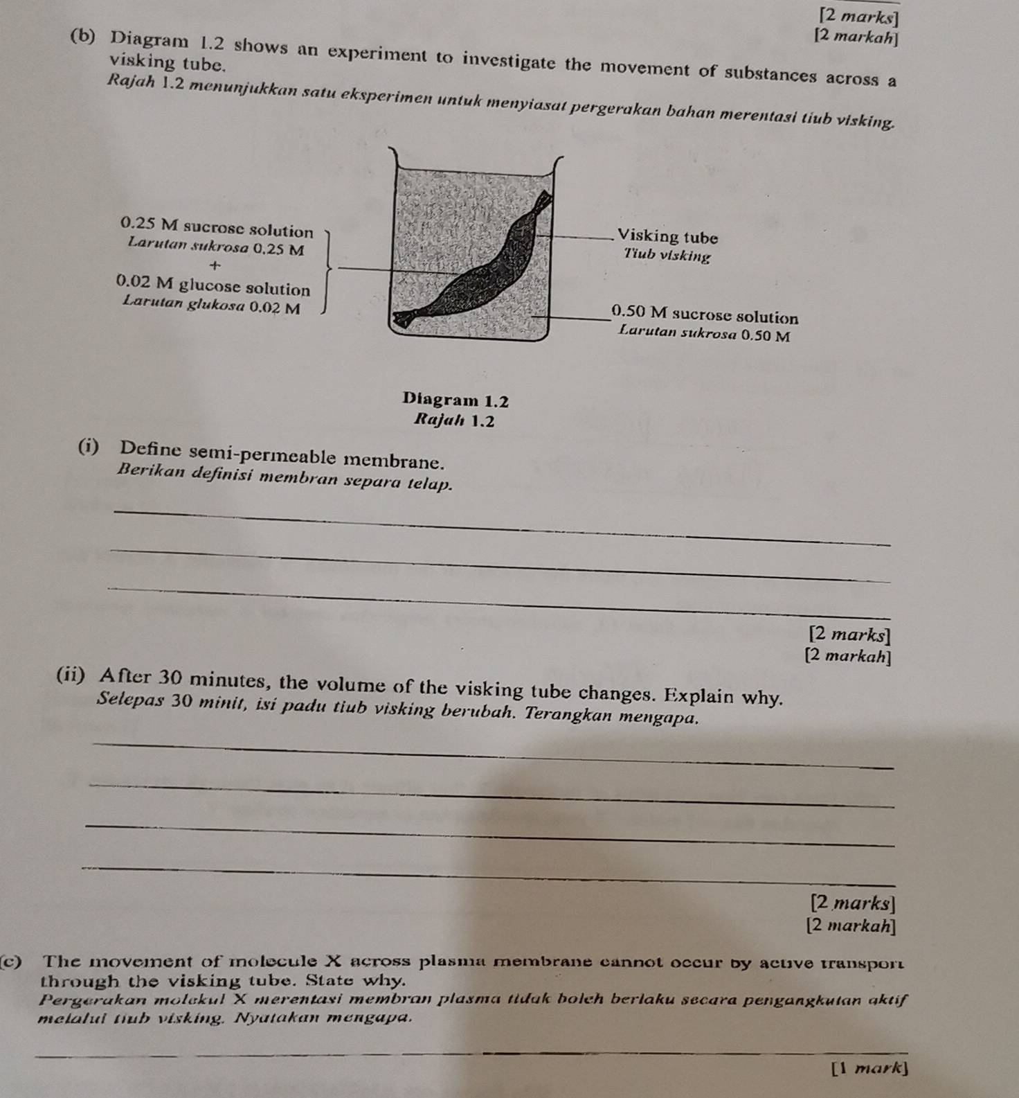 [2 markah] 
(b) Diagram 1.2 shows an experiment to investigate the movement of substances across a 
visking tube. 
Rajah 1.2 menunjukkan satu eksperimen untuk menyiasat pergerakan bahan merentasi tiub visking. 
(i) Define semi-permeable membrane. 
Berikan definisi membran separa telap. 
_ 
_ 
_ 
[2 marks] 
[2 markah] 
(ii) After 30 minutes, the volume of the visking tube changes. Explain why. 
Selepas 30 minit, isi padu tiub visking berubah. Terangkan mengapa. 
_ 
_ 
_ 
_ 
[2 marks] 
[2 markah] 
(c) The movement of molecule X across plasma membrane cannot occur by active transport 
through the visking tube. State why. 
Pergerakan molckul X merentasi membran plasma tidak bolch berlaku secara pengangkutan aktif 
melalui tiub visking. Nyatakan mengapa. 
_ 
_ 
[1 mark]