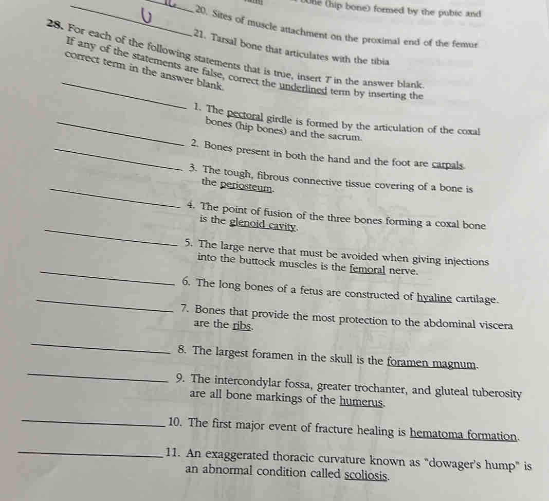 One (hip bone) formed by the pubic and 
__ 
20. Sites of muscle attachment on the proximal end of the femur 
21. Tarsal bone that articulates with the tibia 
28. For each of the following statements that is true, insert T in the answer blank 
_correct term in the answer blank . If any of the statements are false, correct the underlined term by inserting the 
_1. The pectoral girdle is formed by the articulation of the coxal 
bones (hip bones) and the sacrum. 
_2. Bones present in both the hand and the foot are carpals 
3. The tough, fibrous connective tissue covering of a bone is 
_the periosteum. 
_ 
4. The point of fusion of the three bones forming a coxal bone 
is the glenoid cavity. 
_ 
5. The large nerve that must be avoided when giving injections 
into the buttock muscles is the femoral nerve. 
_ 
6. The long bones of a fetus are constructed of hyaline cartilage. 
7. Bones that provide the most protection to the abdominal viscera 
are the ribs. 
_ 
_ 
8. The largest foramen in the skull is the foramen magnum. 
9. The intercondylar fossa, greater trochanter, and gluteal tuberosity 
are all bone markings of the humerus. 
_ 
10. The first major event of fracture healing is hematoma formation. 
_ 
11. An exaggerated thoracic curvature known as “dowager’s hump” is 
an abnormal condition called scoliosis.