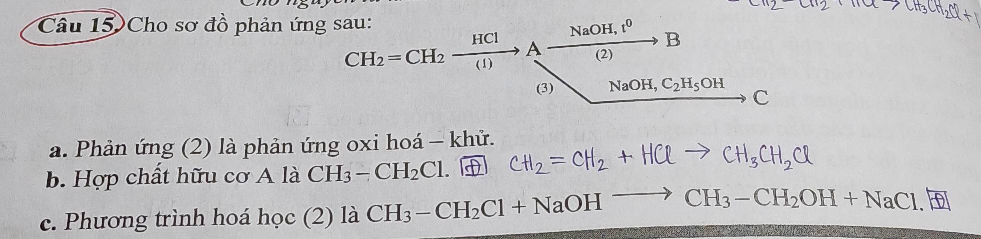 Câu 15)Cho sơ đồ phản ứng sau:
CH_2=CH_2xrightarrow HClAxrightarrow NaOH,t^0B
(3)
NaOH, C_2H_5OH
c
a. Phản ứng (2) là phản ứng oxi hoá - khử.
b. Hợp chất hữu cơ A là CH_3-CH_2Cl D CH_2=CH_2+HCl to CH_3CH_2Cl
c. Phương trình hoá học (2) là CH_3-CH_2Cl+NaOHto CH_3-CH_2OH+NaCl