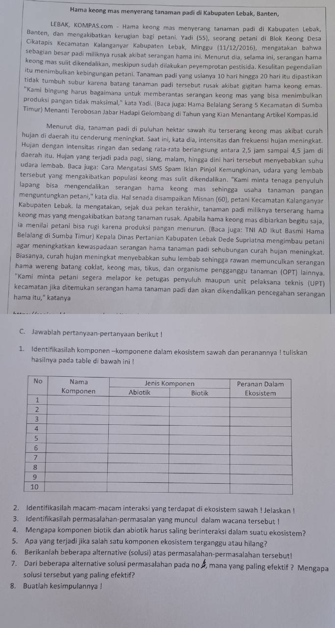 Hama keong mas menyerang tanaman padi di Kabupaten Lebak, Banten,
LEBAK, KOMPAS.com - Hama keong mas menyerang tanaman padi di Kabupaten Lebak,
Banten, dan mengakibatkan kerugian bagi petani. Yadi (55), seorang petani di Blok Keong Desa
Cikatapis Kecamatan Kalanganyar Kabupaten Lebak, Minggu (11/12/2016), mengatakan bahwa
sebagian besar padi miliknya rusak akibat serangan hama ini. Menurut dia, selama ini, serangan hama
keong mas sulit dikendalikan, meskipun sudah dilakukan peyemprotan pestisida. Kesulitan pegendalian
itu menimbulkan kebingungan petani. Tanaman padi yang usianya 10 hari hingga 20 hari itu dipastikan
tidak tumbuh subur karena batang tanaman padi tersebut rusak akibat gigitan hama keong emas.
"Kami bingung harus bagaimana untuk memberantas serangan keong mas yang bisa menimbulkan
produksi pangan tidak maksimal,' kata Yadi. (Baca juga: Hama Belalang Serang 5 Kecamatan di Sumba
Timur) Menanti Terobosan Jabar Hadapi Gelombang di Tahun yang Kian Menantang Artikel Kompas.id
Menurut dia, tanaman padi di puluhan hektar sawah itu terserang keong mas akibat curah
hujan di daerah itu cenderung meningkat. Saat ini, kata dia, intensitas dan frekuensi hujan meningkat.
Hujan dengan intensitas ringan dan sedang rata-rata berlangsung antara 2,5 jam sampai 4,5 jam di
daerah itu. Hujan yang terjadi pada pagi, siang, malam, hingga dini hari tersebut menyebabkan suhu
udara lembab. Baca juga: Cara Mengatasi SMS Spam Iklan Pinjol Kemungkinan, udara yang lembab
tersebut yang mengakibatkan populasi keong mas sulit dikendalikan. "Kami minta tenaga penyuluh
lapang bisa mengendalikan serangan hama keong mas sehingga usaha tanaman pangan
menguntungkan petani," kata dia. Hal senada disampaikan Misnan (60), petani Kecamatan Kalanganyar
Kabupaten Lebak. Ia mengatakan, sejak dua pekan terakhir, tanaman padi miliknya terserang hama
keong mas yang mengakibatkan batang tanaman rusak. Apabila hama keong mas dibiarkan begitu saja,
ia menilai petani bisa rugi karena produksi pangan menurun. (Baca juga: TNI AD Ikut Basmi Hama
Belalang di Sumba Timur) Kepala Dinas Pertanian Kabupaten Lebak Dede Supriatna mengimbau petani
agar meningkatkan kewaspadaan serangan hama tanaman padi sehubungan curah hujan meningkat.
Biasanya, curah hujan meningkat menyebabkan suhu lembab sehingga rawan memunculkan serangan
hama wereng batang coklat, keong mas, tikus, dan organisme pengganggu tanaman (OPT) lainnya.
''Kami minta petani segera melapor ke petugas penyuluh maupun unit pelaksana teknis (UPT)
kecamatan jika ditemukan serangan hama tanaman padi dan akan dikendalikan pencegahan serangan
hama itu," katanya
C. Jawablah pertanyaan-pertanyaan berikut !
1. Identifikasilah komponen --komponene dalam ekosistem sawah dan peranannya ! tuliskan
hasilnya pada table di bawah ini !
2. Identifikasilah macam-macam interaksi yang terdapat di ekosistem sawah ! Jelaskan !
3. Identifikasilah permasalahan-permasalan yang muncul dalam wacana tersebut !
4. Mengapa komponen biotik dan abiotik harus saling berinteraksi dalam suatu ekosistem?
5. Apa yang terjadi jika salah satu komponen ekosistem terganggu atau hilang?
6. Berikanlah beberapa alternative (solusi) atas permasalahan-permasalahan tersebut!
7. Dari beberapa alternative solusi permasalahan pada no 4, mana yang paling efektif ? Mengapa
solusi tersebut yang paling efektif?
8. Buatlah kesimpulannya !