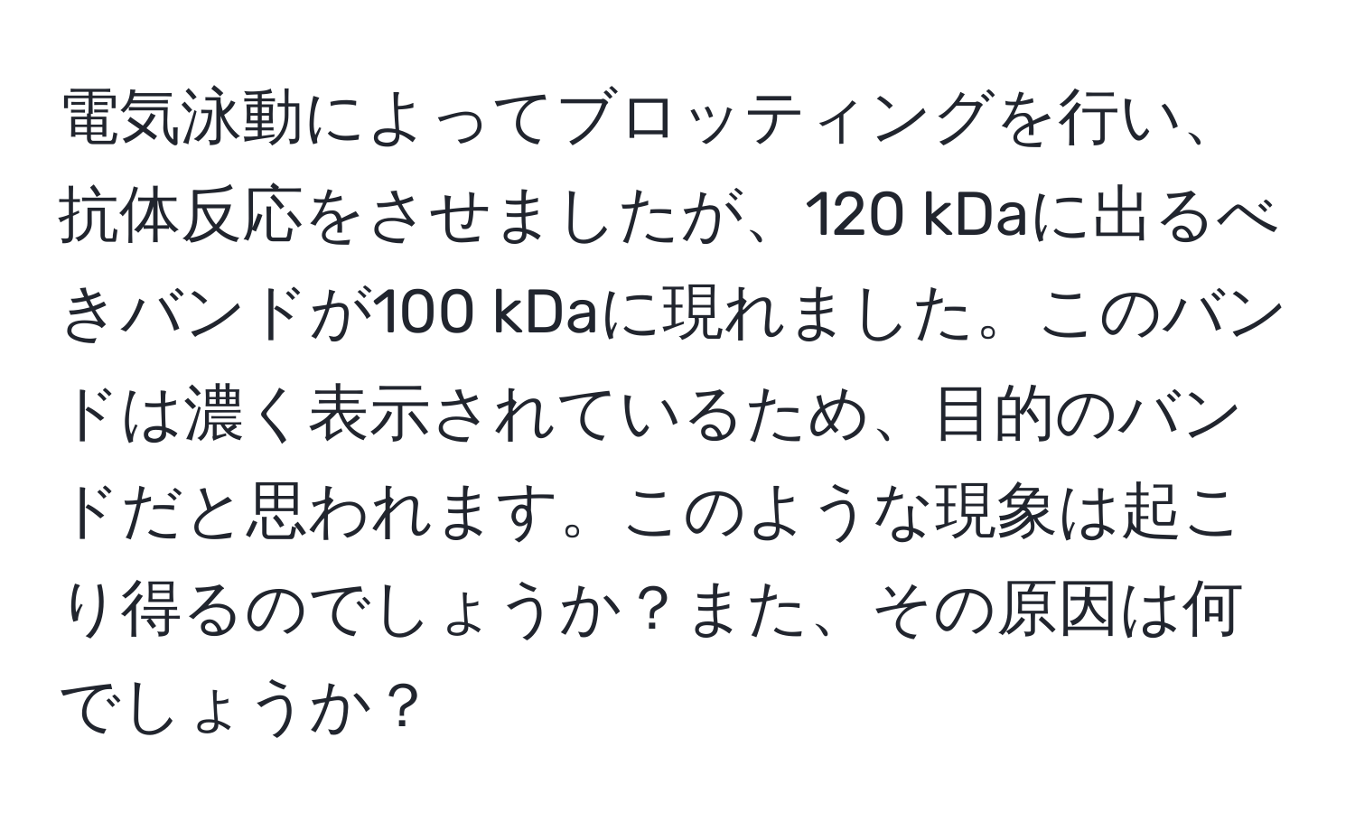 電気泳動によってブロッティングを行い、抗体反応をさせましたが、120 kDaに出るべきバンドが100 kDaに現れました。このバンドは濃く表示されているため、目的のバンドだと思われます。このような現象は起こり得るのでしょうか？また、その原因は何でしょうか？