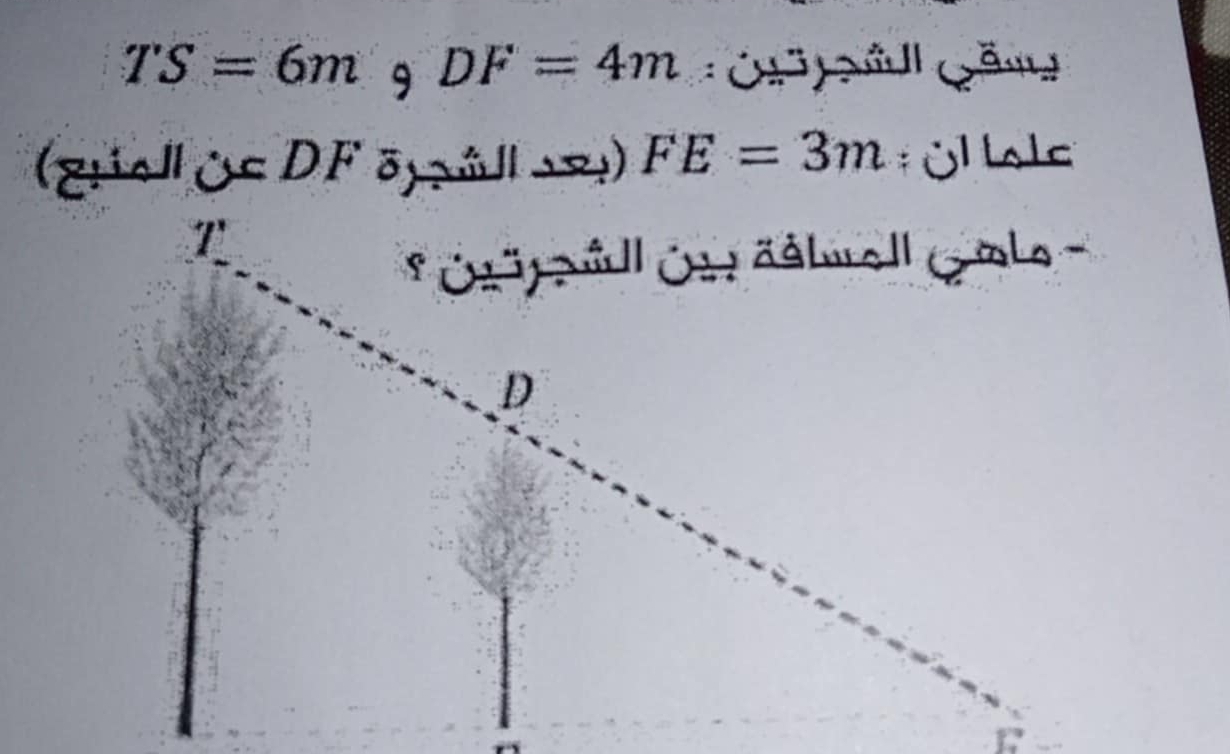 TS=6m 9 DF=4m
(giel partial =DF δ¬å/ →マ) FE=3m * Ül bsls