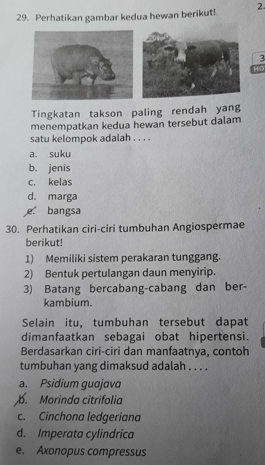 Perhatikan gambar kedua hewan berikut!
3
HO
Tingkatan takson paling rendah yang
menempatkan kedua hewan tersebut dalam
satu kelompok adalah . . . .
a. suku
b. jenis
c. kelas
d. marga
e. bangsa
30. Perhatikan ciri-ciri tumbuhan Angiospermae
berikut!
1) Memiliki sistem perakaran tunggang.
2) Bentuk pertulangan daun menyirip.
3) Batang bercabang-cabang dan ber-
kambium.
Selain itu, tumbuhan tersebut dapat
dimanfaatkan sebagai obat hipertensi.
Berdasarkan ciri-ciri dan manfaatnya, contoh
tumbuhan yang dimaksud adalah . . . .
a. Psidium guajava. Morinda citrifolia
c. Cinchona ledgeriana
d. Imperata cylindrica
e. Axonopus compressus