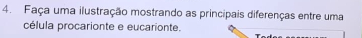 Faça uma ilustração mostrando as principais diferenças entre uma 
célula procarionte e eucarionte.