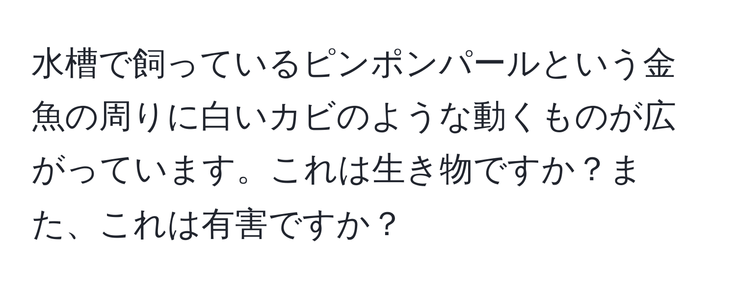 水槽で飼っているピンポンパールという金魚の周りに白いカビのような動くものが広がっています。これは生き物ですか？また、これは有害ですか？