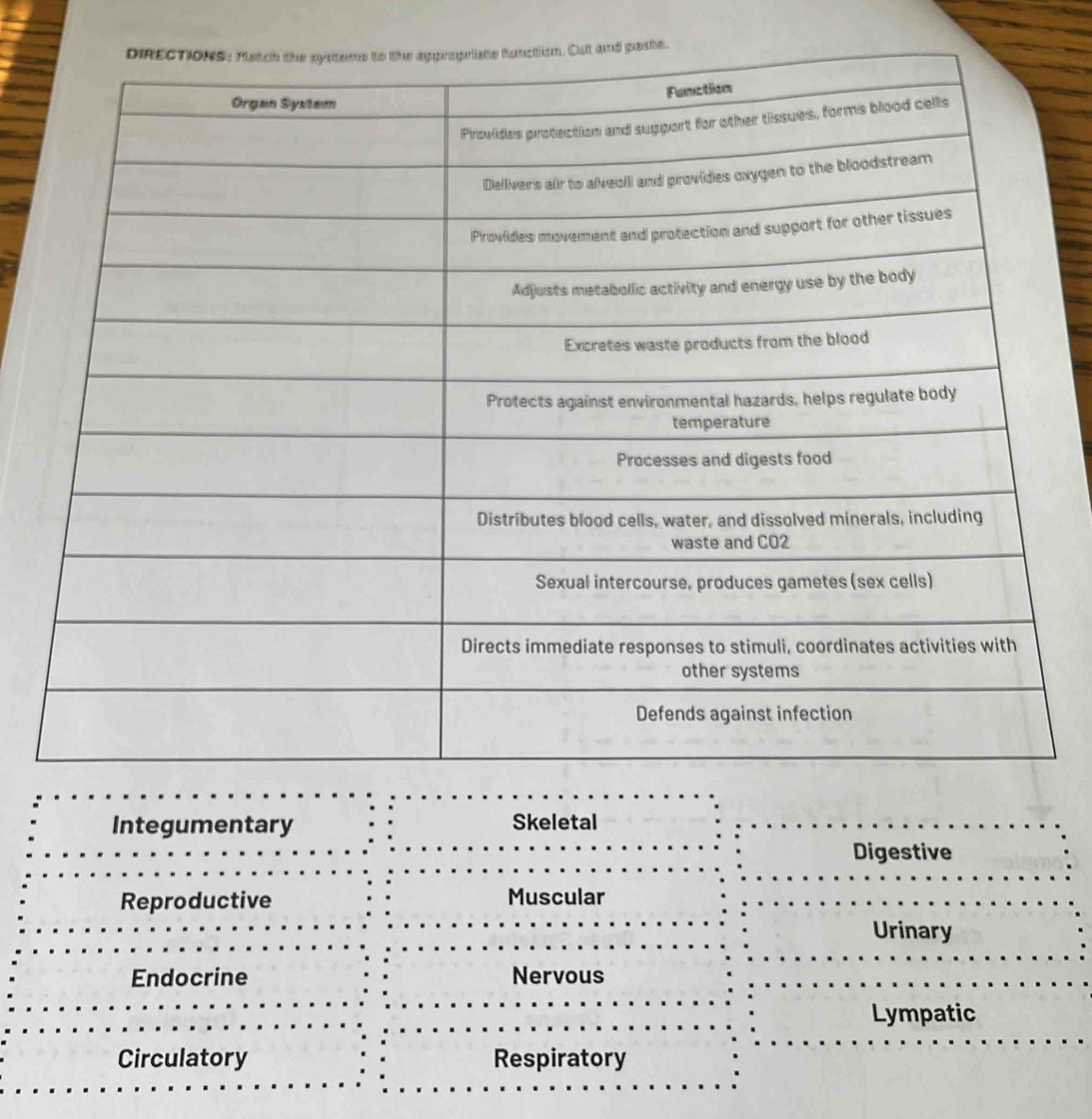 Integumentary Skeletal
Digestive
Reproductive Muscular
Urinary
Endocrine Nervous
Lympatic
Circulatory Respiratory